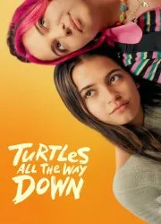 Turtles All the Way Down(2024)